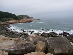 -广东惠东海龟国家级自然保护区