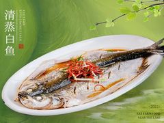 -蟹天蟹地农家菜·阳澄湖大闸蟹(浅水湾店)