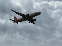 -空港花田景区