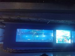 -重庆欢乐海底世界