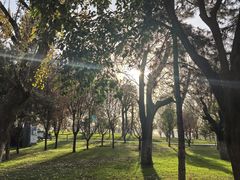 -汉长安城未央宫国家考古遗址公园