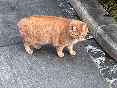-星巴克(花木plus乐坊店)