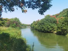 -绍兴镜湖国家城市湿地公园