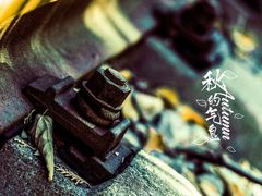 -府君山公园