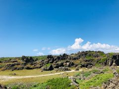 -龙坑生态保护区