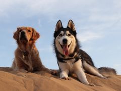 -亿利库布其七星湖沙漠生态旅游区