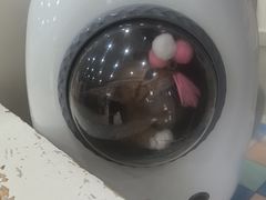 -瑞鹏·疫苗·绝育·宠物医院(广九店)