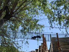 -北京鹿世界主题园