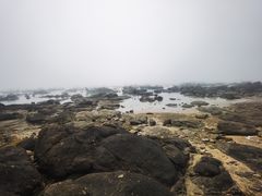 -硇洲岛旅游区