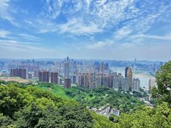 -南山植物园
