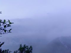 -梧桐山风景名胜区