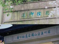 -苏州上方山国家森林公园