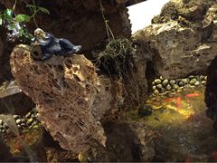 iphone_upload_pic-宴桃园(门头沟店)