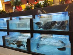 -岳州三毛·钻石卤虾(润泽园店)