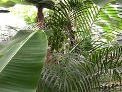 -汤山翠谷生态餐厅