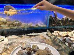 -苏格里岛自助烤肉海鲜火锅(成都金牛万达店)