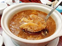 海参花胶砂锅鱼翅-添發碗仔翅美食