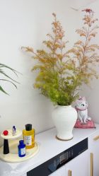 -WENDY·温迪皮肤管理