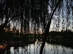 -西安汉城湖景区