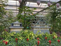 -南宫五洲植物乐园