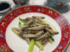 -新光酒家·河豚·海鲜·蟹料理(浦东店)