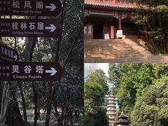 -灵谷景区