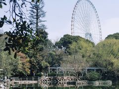 -无锡蠡湖国家湿地公园-蠡园
