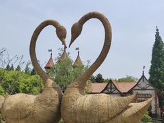 -东平国家森林公园