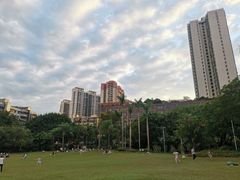 -东风公园