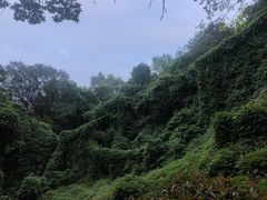 -南京市江宁方山
