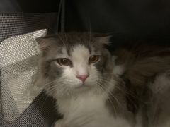 -墨茉点心局(喜盈门范城店)