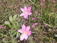 -白鹭湾湿地公园