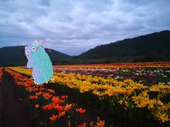 -北极村旅游风景区