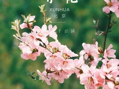 -南海子公园