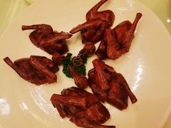 润烧盐香乳鸽-利苑酒家(宜安广场店)