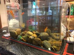 -一斗火锅·招财羊毛肚(泰吉滨江店)