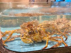 -云庭汇·粤菜海鲜(东盟盛天地店)