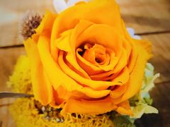 -胡桃里音乐酒馆(四道口店)