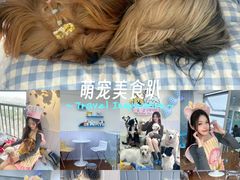 -汪说·狗咖·拼豆·宠物周边DIY(旺城大厦店)
