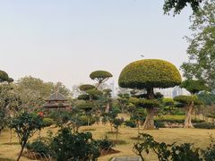 -南宁南湖公园