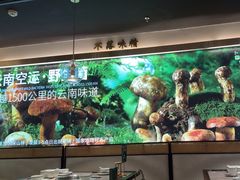 -野·大山里野生菌石锅土鸡(益田假日店)