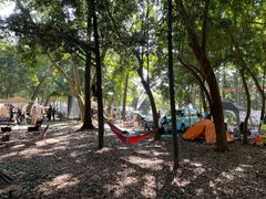 -南宁良凤江国家森林公园