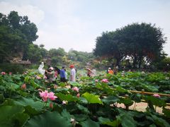 -广州莲花山旅游区