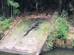 -野生动物园-停车场