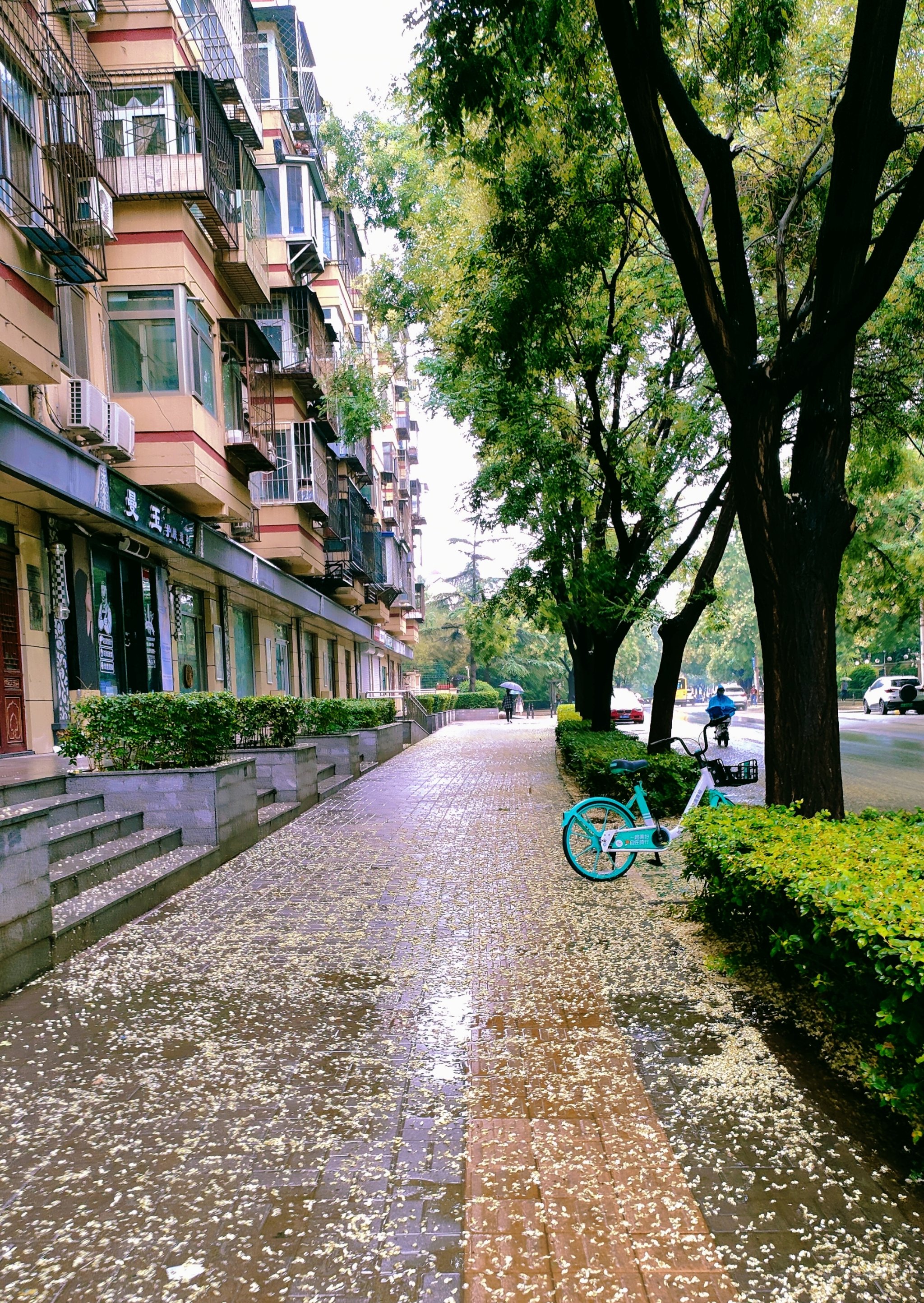 雨后街景图片