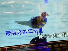 -星璨火吧KTV聚会餐厅(丰庆路店)