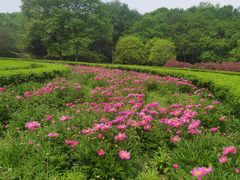 -洛阳市隋唐城遗址植物园