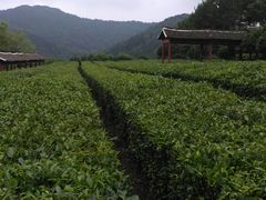 -张公山寨景区