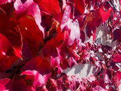 -九鼎铁刹山风景区