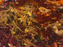 水煮豆花鱼(江团)-川味堂·四川豆花(八卦岭店)